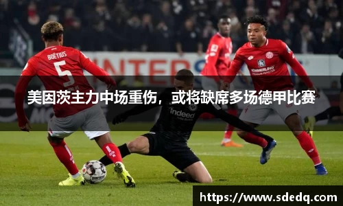 VSport-胜利因您更精彩