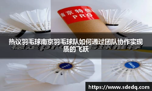 V体育