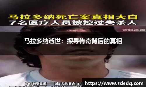 V体育