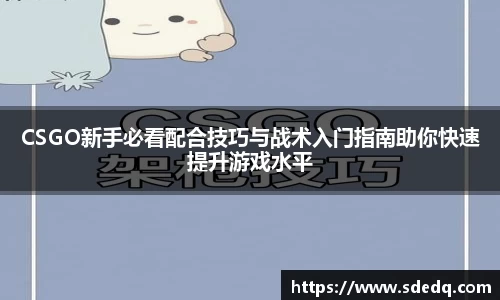 VSport-胜利因您更精彩
