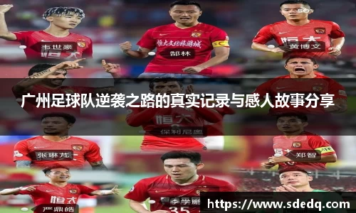 VSport-胜利因您更精彩
