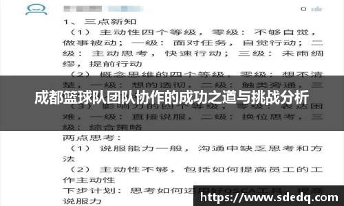 VSport-胜利因您更精彩