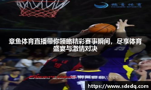 VSport-胜利因您更精彩