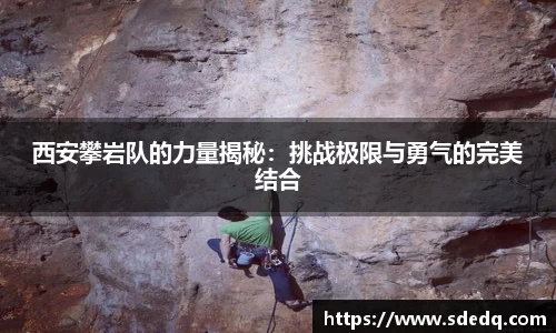 VSport-胜利因您更精彩