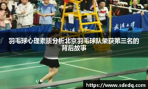 V体育