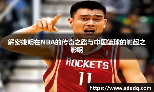 VSport-胜利因您更精彩