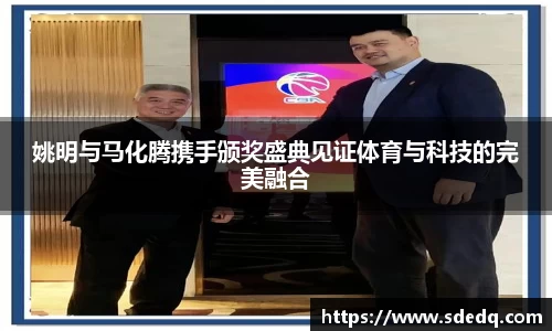 VSport-胜利因您更精彩