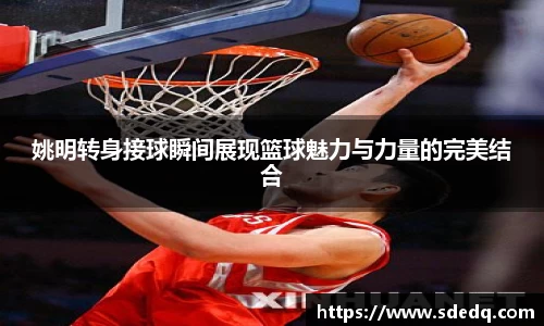 姚明转身接球瞬间展现篮球魅力与力量的完美结合