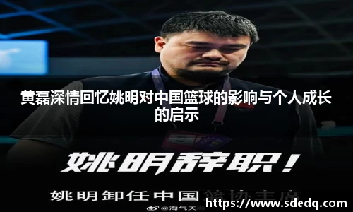 V体育