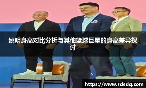 VSport-胜利因您更精彩