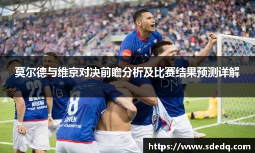 VSport-胜利因您更精彩