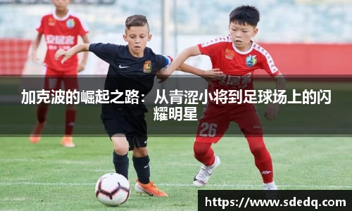 VSport-胜利因您更精彩