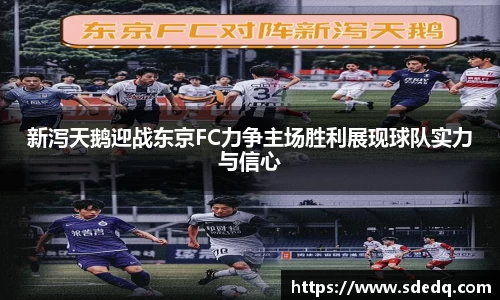 VSport-胜利因您更精彩