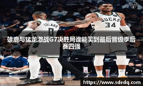 VSport-胜利因您更精彩