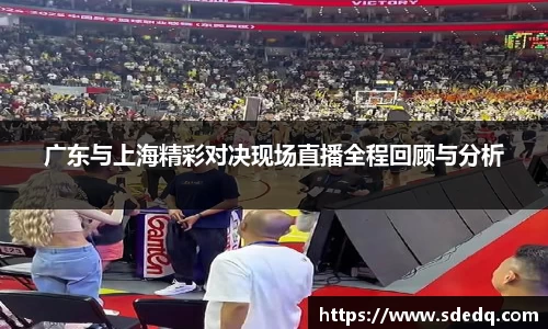 VSport-胜利因您更精彩