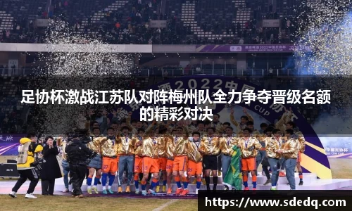 VSport-胜利因您更精彩