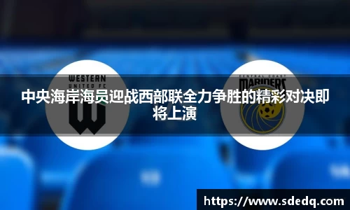 VSport体育