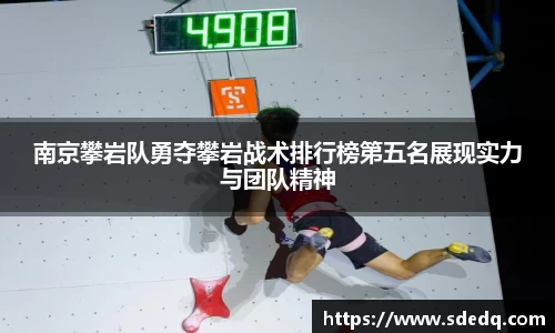 V体育