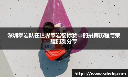 深圳攀岩队在世界攀岩锦标赛中的拼搏历程与荣耀时刻分享