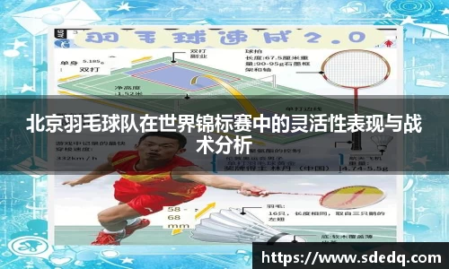 VSport-胜利因您更精彩