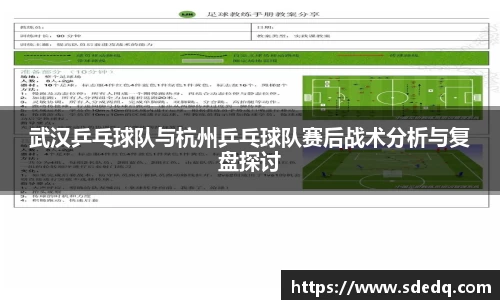 VSport-胜利因您更精彩